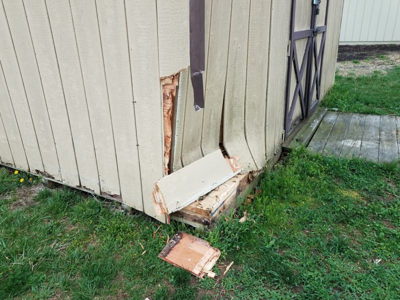 Shed Repair in Wilmington, NC
