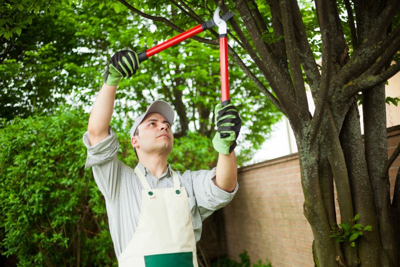 Specialized Tree Planting Contractors