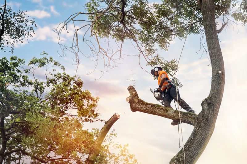 Arbor Installation Services Directory